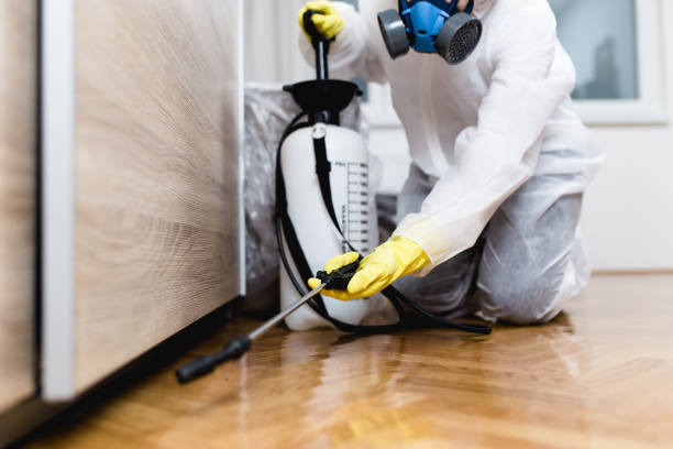Best Local Pest Control Services  in Maywood, CA