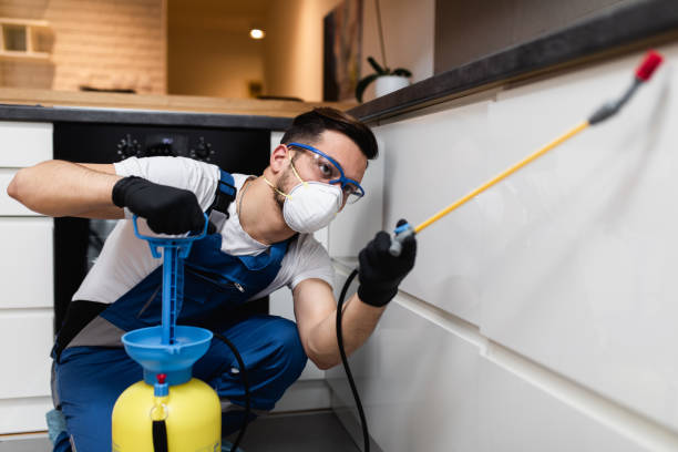 Best Affordable Pest Control Services  in Maywood, CA
