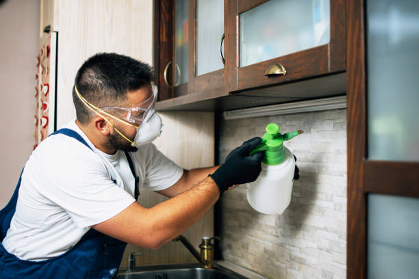 Best Cockroach Control Services  in Maywood, CA