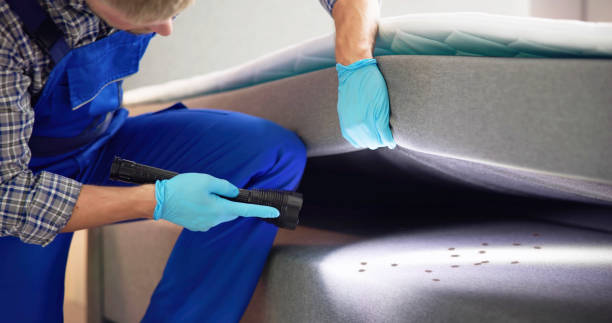 Best Affordable Pest Control Services  in Maywood, CA