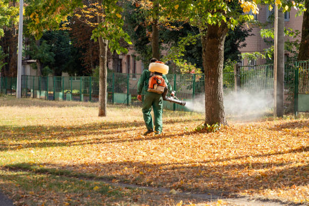 Best Pest Control Near Me in Maywood, CA